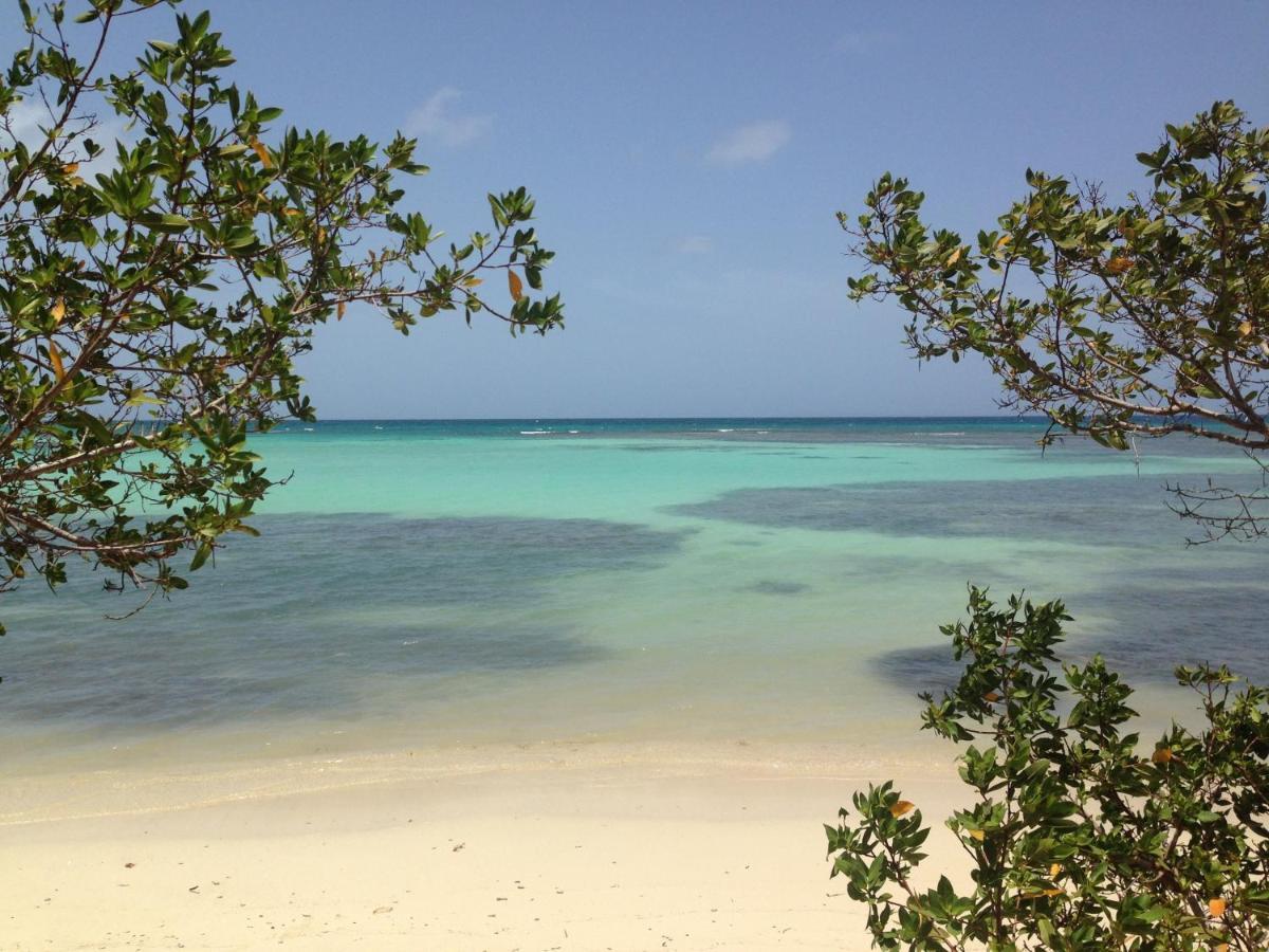 Bungalow La Papaye Bleue Residence Acces Piscine & Plage Saint-Francois  Esterno foto
