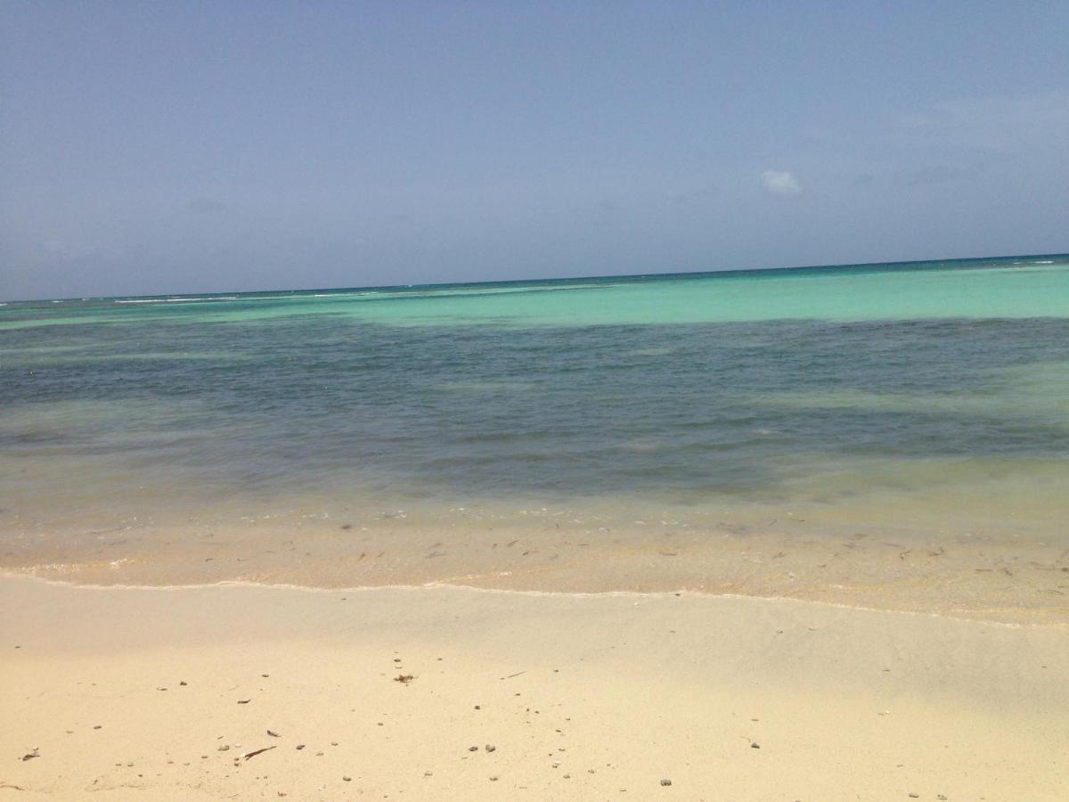 Bungalow La Papaye Bleue Residence Acces Piscine & Plage Saint-Francois  Esterno foto