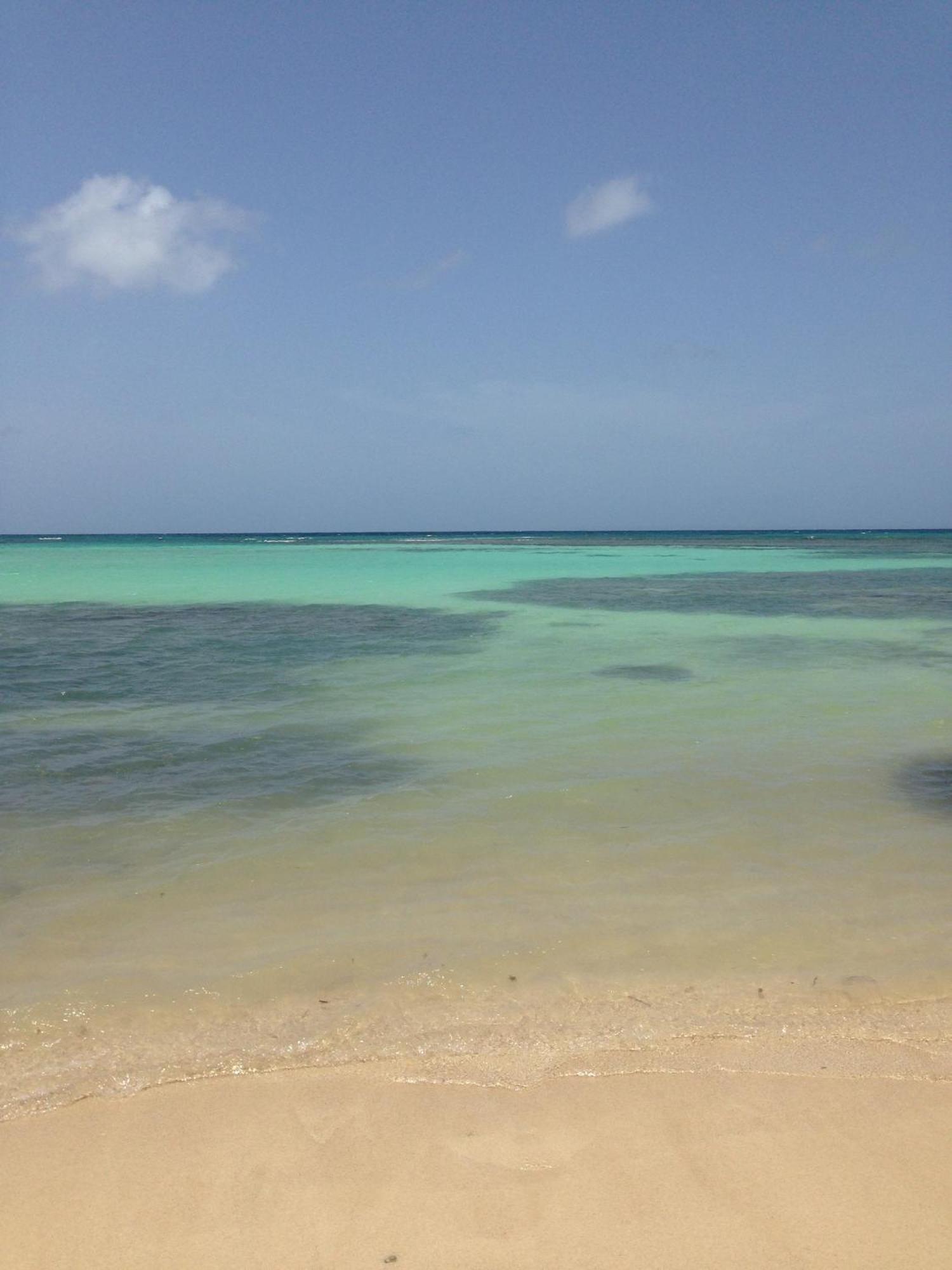 Bungalow La Papaye Bleue Residence Acces Piscine & Plage Saint-Francois  Esterno foto