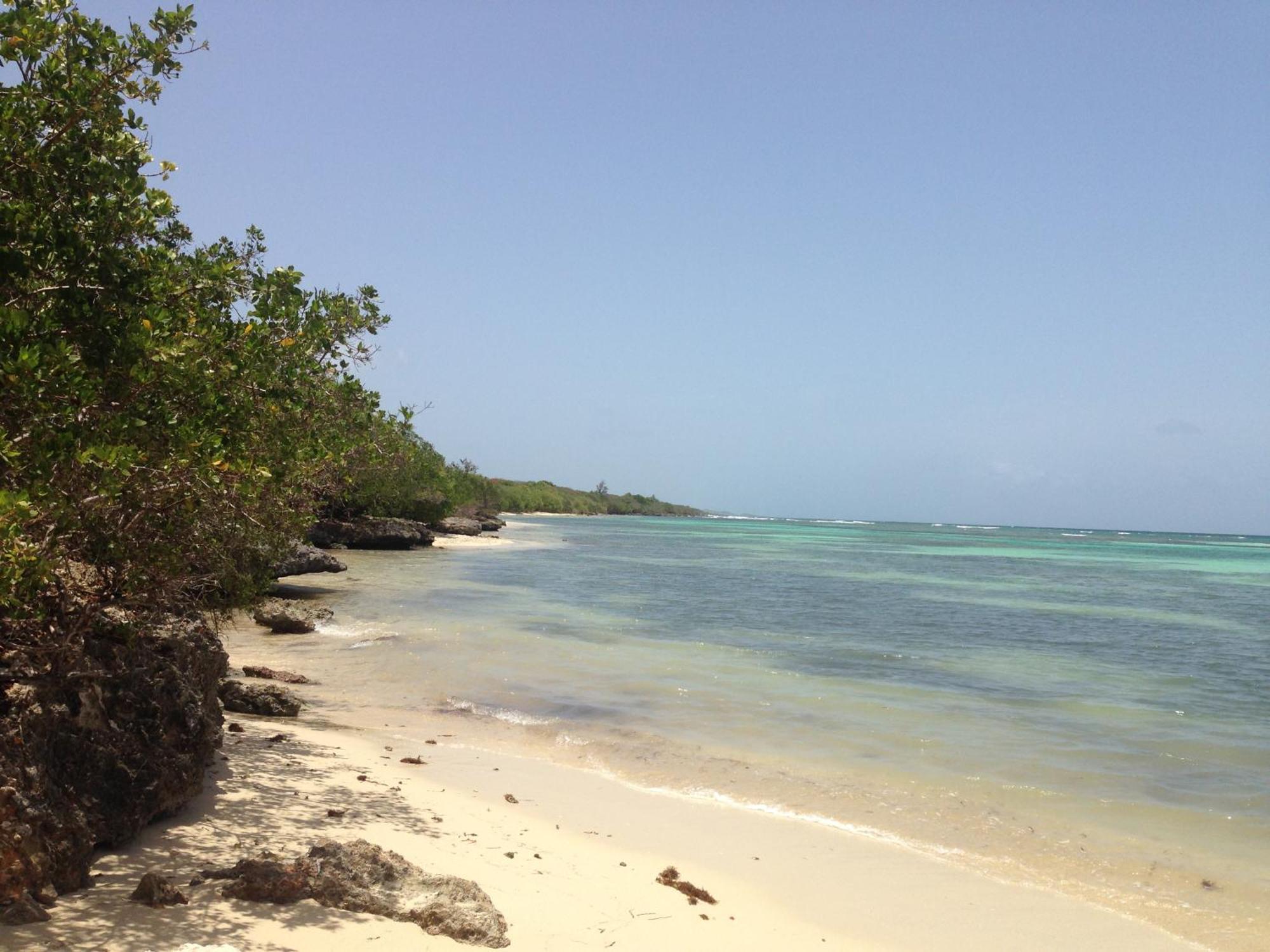 Bungalow La Papaye Bleue Residence Acces Piscine & Plage Saint-Francois  Esterno foto